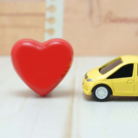 保険（JA共済）