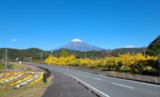 今年もご来店ありがとうございました。